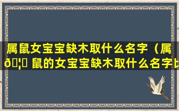 属鼠女宝宝缺木取什么名字（属 🦅 鼠的女宝宝缺木取什么名字比较好）